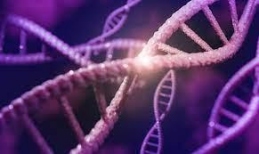 Μικροβιολογικό Καρακάση Μοίρες Ηρακλείου Μικροβιολόγος