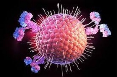 Μικροβιολογικό Καρακάση Μοίρες Ηρακλείου Μικροβιολόγος